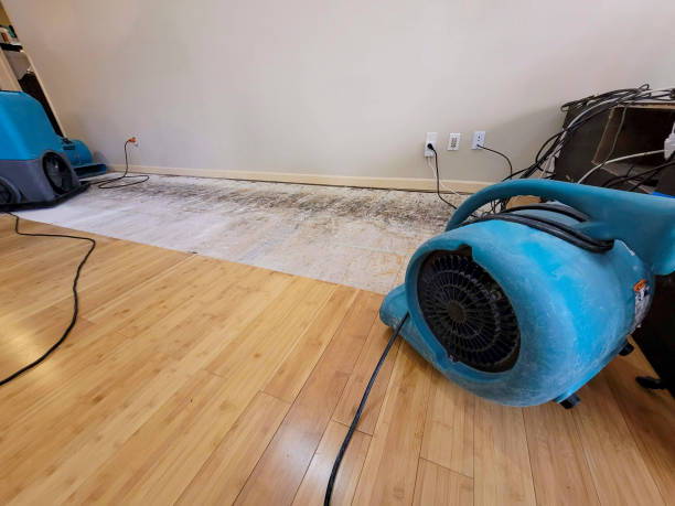 Professional Ceiling Water Damage Repair technician working in Long Beach, IN